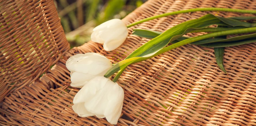 Terapia de Duelo en Guatemala